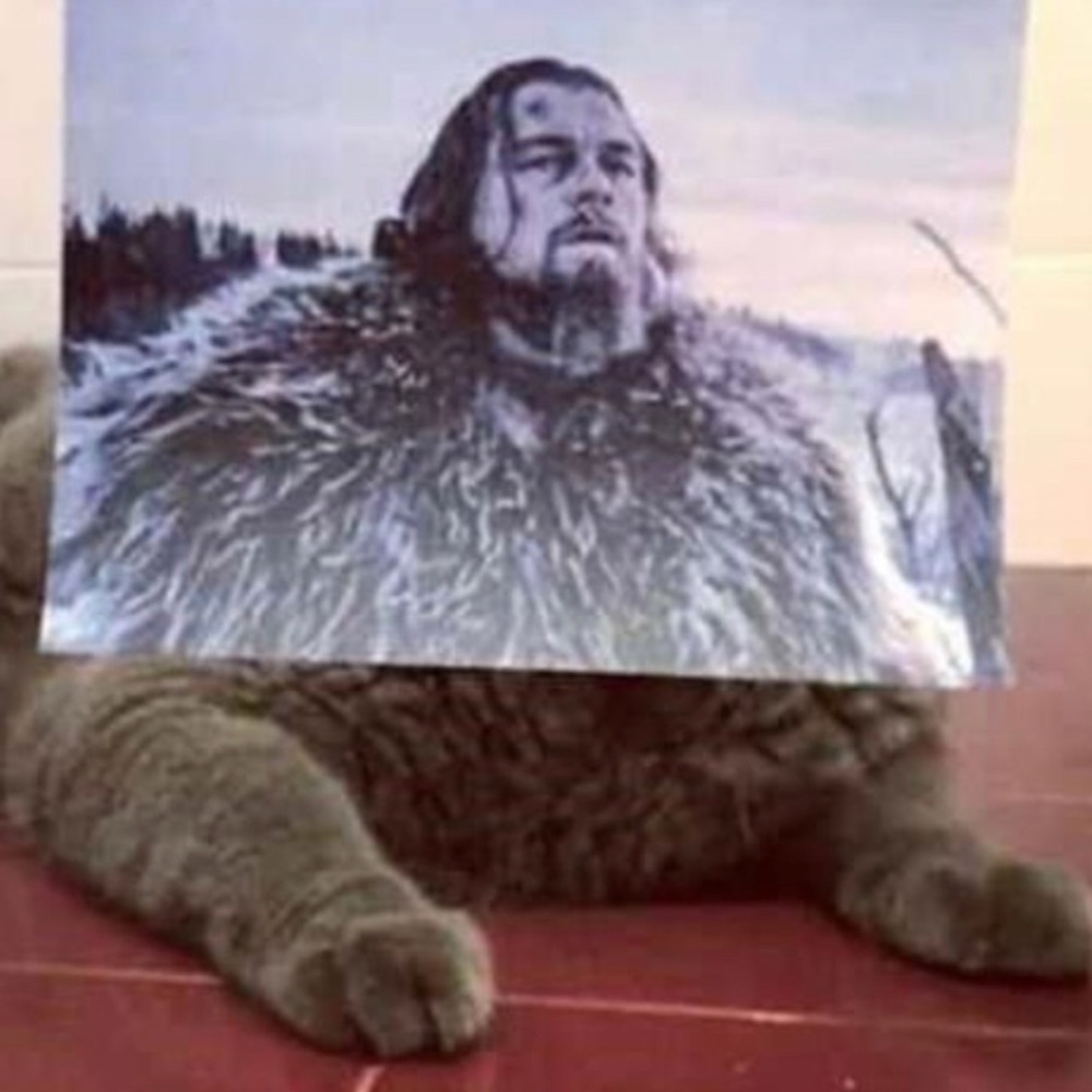 Meet your Posher, Hunter